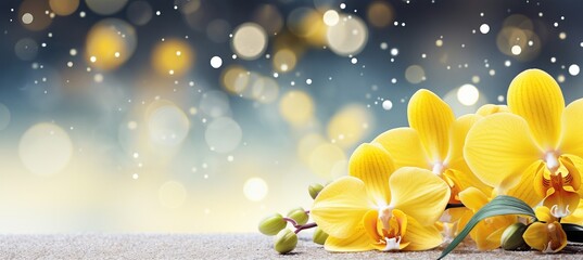 Yellow orchid on right side, isolated magical bokeh background, two thirds text space on left.