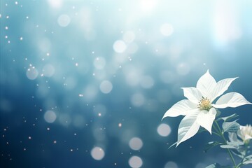 Beautiful white poinsettia on right with magical bokeh background and text space on left