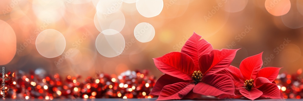 Poster red poinsettia on isolated magical bokeh background with copy space for text placement