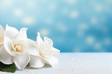Fototapeta na wymiar White gardenia flower with magical bokeh background and copy space for text placement