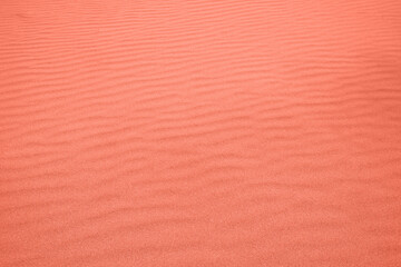 Pink orange background made of Wavy desert sand texture. Fine beach sand. Color Of The Year 2024 - Peach Fuzz.