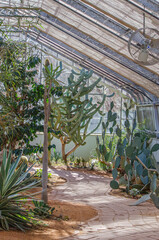 greenhouse with plants