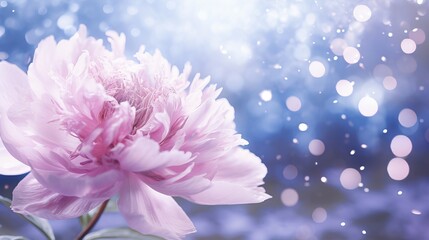 Obraz premium Elegant pink peony blossom on enchanting bokeh background with ample copy space for text placement