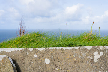 Irish seascape with gray rock and grass foreground on a beautiful bright day and sea in the background