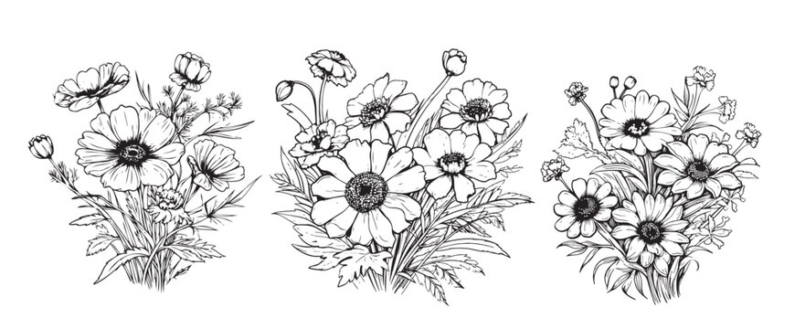Doodle bouquets set hand drawn flowers. Floral sketch , drawing still life. Romantic bunches gift to holiday. Botanical illustration. Isolated. Vector illustration