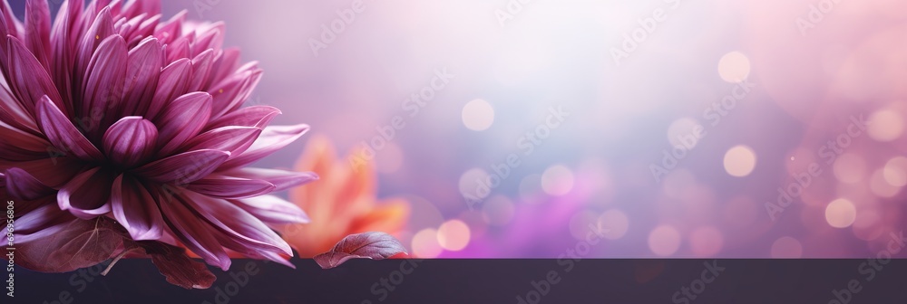 Poster pink chrysanthemum on right side with magical bokeh background and ample text space on left