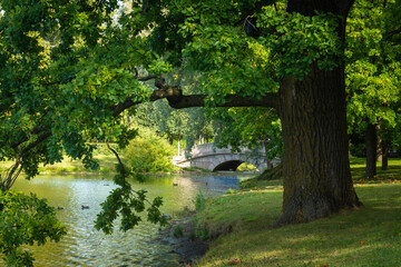 Russia. City of Pushkin. Catherine Park in the city of Pushkin. Tsarskoye Selo. Sights of Russia.