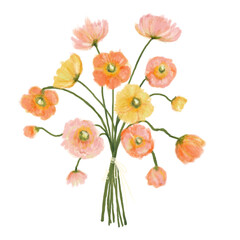 bouquet of peach poppy flowers