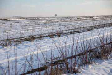 A view of the boundless open space of a snow-covered field.