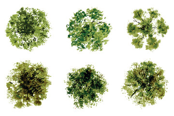 vector top view of trees and bushes vector illustrations set. landscape elements for garden, park or forest, plants	
 - obrazy, fototapety, plakaty