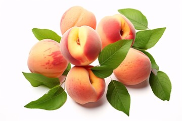 Hovering apricot separated. Arrangement of apricots, apricot pieces and wedges with verdant foliage on a blank canvas.