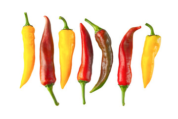 Red and yellow hot chili pepper isolated 