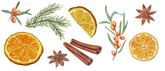 Set of dry orange slice, star anise, sea buckthorn berry, cinnamons and spruce branches. Ingredients for winter warming drink. Citrus, berries, evergreen, spices. Watercolor illustration on white.