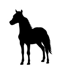 Silhouette of a standing horse, A set of high quality horse silhouette vector