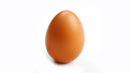 plain chicken egg, white background