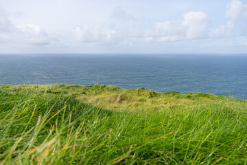 Simple image of a splendid irish landscape with grass in foreground and the sea in the background...