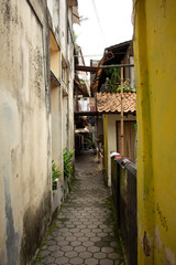 A narrow alleyway between residential buildings in an urban area