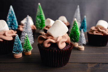 Hot Cocoa Cupcakes Topped With Giant Marshmallows: Chocolate cupcakes with hot chocolate frosting...
