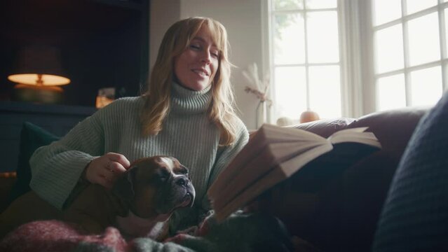 Close up of woman at home in winter jumper stroking pet French Bulldog and reading book - shot in slow motion