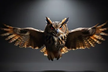 Poster owl in flight © TikTok