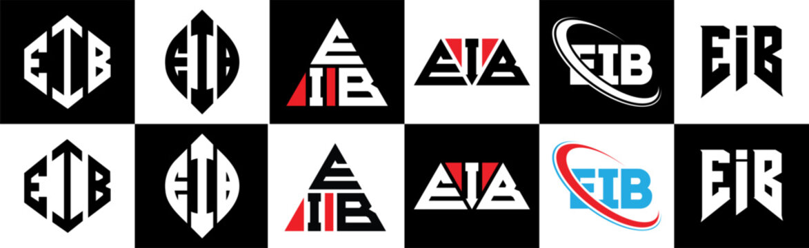 EIB letter logo design in six style. EIB polygon, circle, triangle, hexagon, flat and simple style with black and white color variation letter logo set in one artboard. EIB minimalist and classic logo