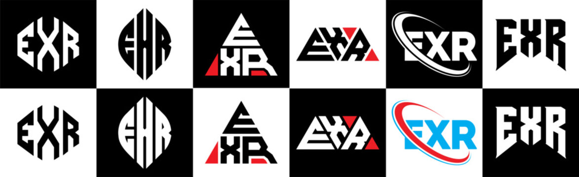 EXR letter logo design in six style. EXR polygon, circle, triangle, hexagon, flat and simple style with black and white color variation letter logo set in one artboard. EXR minimalist and classic logo