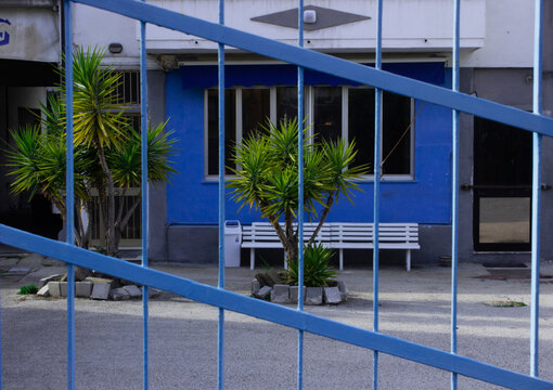 Italian courtyard with palm trees behind a blue fence