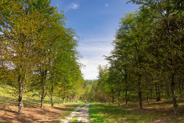 Hikers on the De Paltz estate near Soesterberg