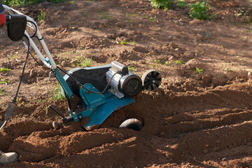 Farmer motoblok om loosens the soil and removes weeds in the vegetable garden. Prepares the seedbed.