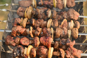 barbecue of meat and mushrooms on the grill.