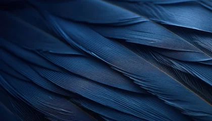 Selbstklebende Fototapeten Close-Up of Blue Bird Feathers © Anna
