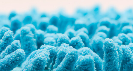Blue gut bacteria or intestinal microvilli