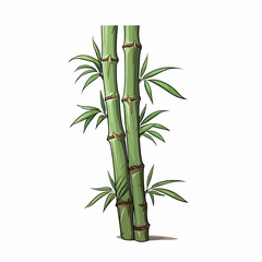 Fototapeta na wymiar Bamboo flat vector illustration. Bamboo cartoon hand drawing isolated vector illustration.