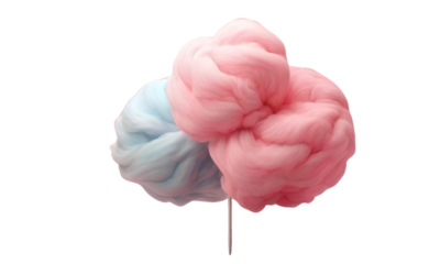 Stick with yummy cotton candy isolated . Pink cotton candy, png