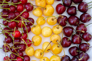 cherry varieties in white plate