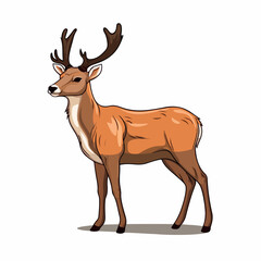 Deer flat vector illustration. Deer cartoon hand drawing isolated vector illustration.