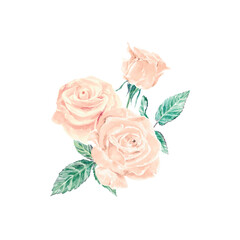Pink roses watercolor. Flower bouquet vector illustration isolated. Greeting cards, wedding invitations, banners, flyers, birthday posters, festivals.