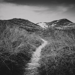 A black and white picture of a narrow path in the dunes of Sondervig, Denmark.