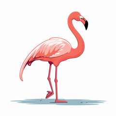 Flamingo flat vector illustration. Flamingo cartoon hand drawing isolated vector illustration.