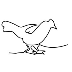 chicken continuous line art
