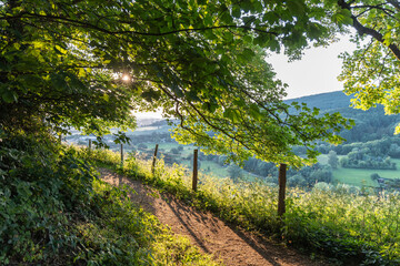 A hiking trail in the mountains in the light of the evening sun