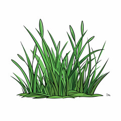 Grass flat vector illustration. Grass cartoon hand drawing isolated vector illustration.