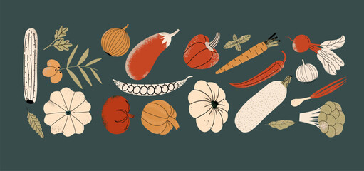 Organic fresh vegetables set. Vegetarian healthy food collection. Horizontal concept composition. Vector illustration in hand draw style.