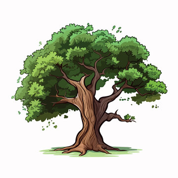 Oak tree flat vector illustration. Oak tree cartoon hand drawing isolated vector illustration.