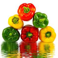 Close-up image of colorful peppers and their reflection in water isolated on transparent background.