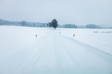 Winter slippery road and field covered with snow