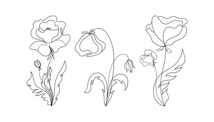 Continuous line drawing of various abstract poppies. Sketch of flower set. Botanical minimalist art. Memory symbol. Vector illustration drawn in one line.