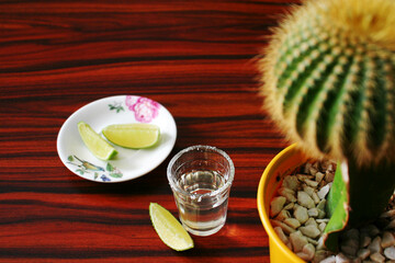 Tequila with cactus and pieces of lime on the wooden board.