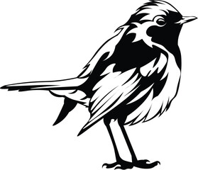 Cartoon Black and White Isolated Illustration Vector Of A Small Warbler Bird Standing