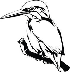 Obraz premium Cartoon Black and White Isolated Illustration Vector Of A Kingfisher Bird Sitting On A Branch